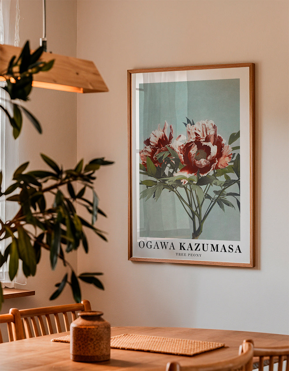 Ogawa Kazumasa Tree Peony