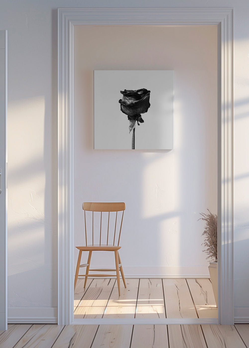 Dried rose black and white photograph