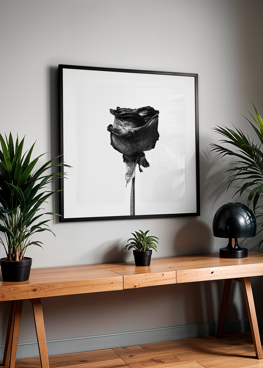 Dried rose black and white photograph