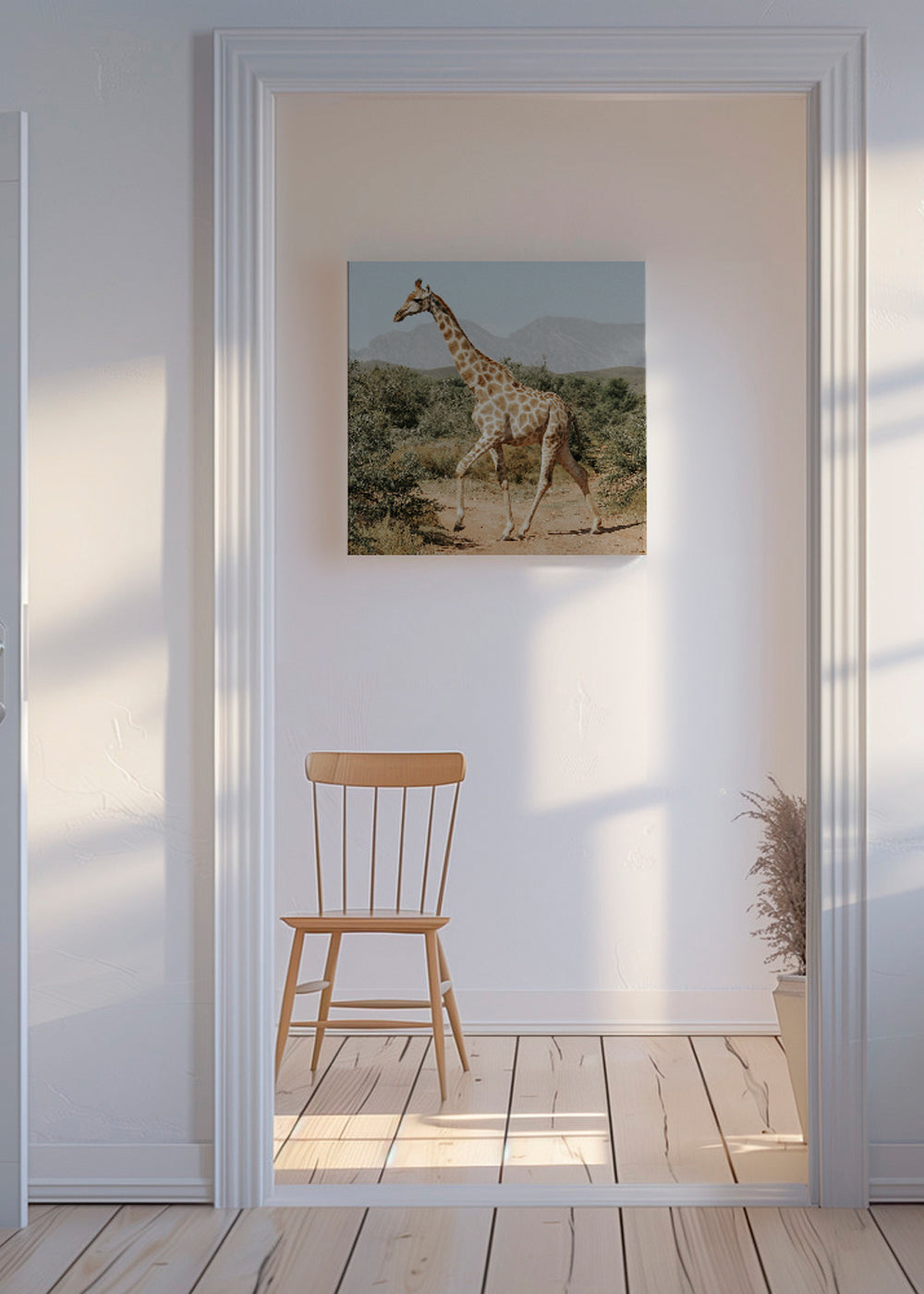 Giraffe photograph - Square