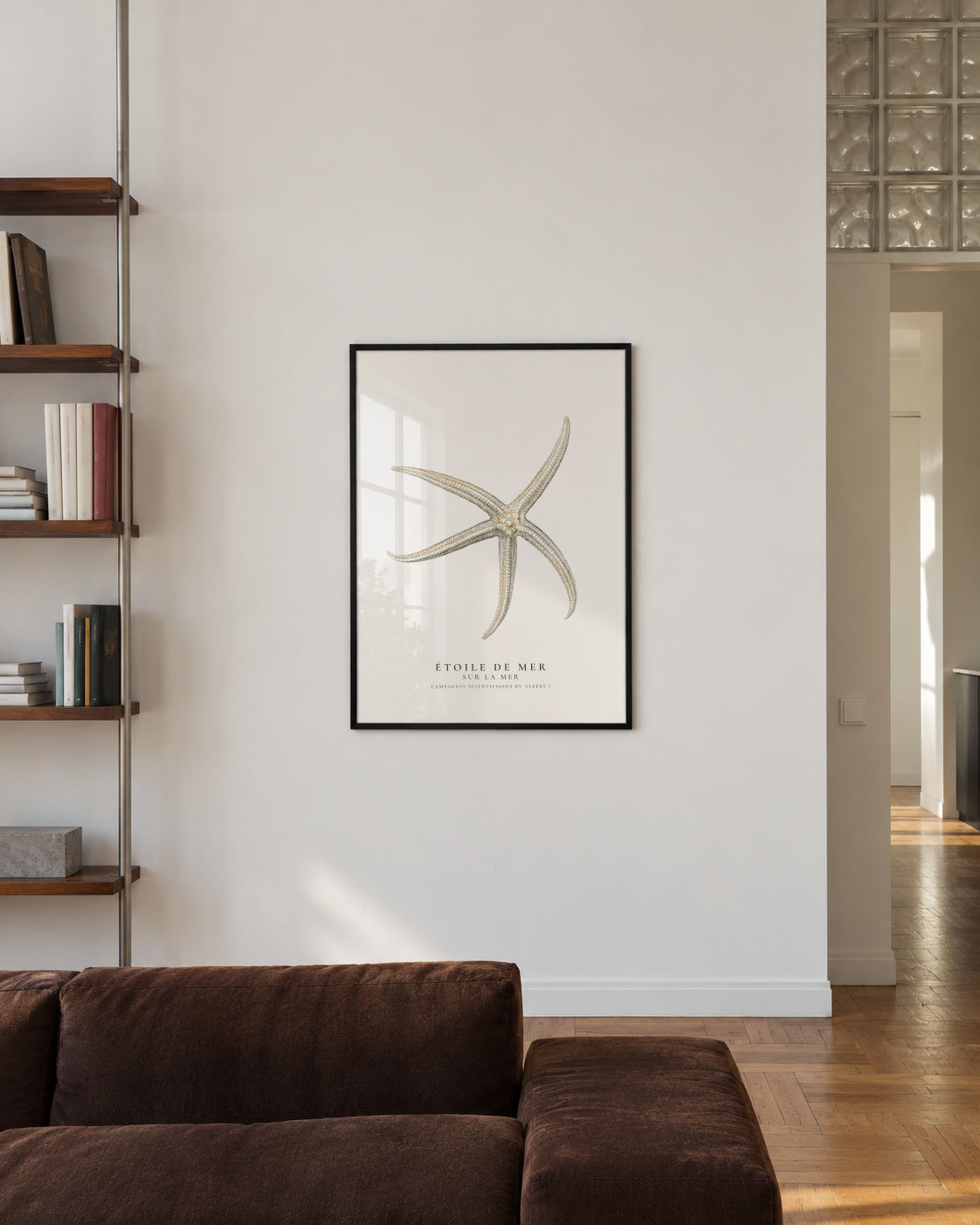 Starfish (Étoile de mer) II - Sealife Collection - Framed poster in an interior