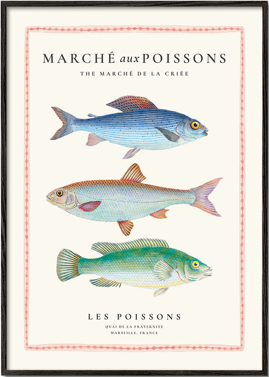 Fish Market (Marche aux poissons)