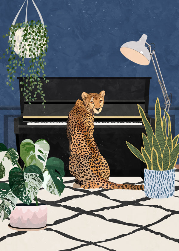 Cheetah plays the piano