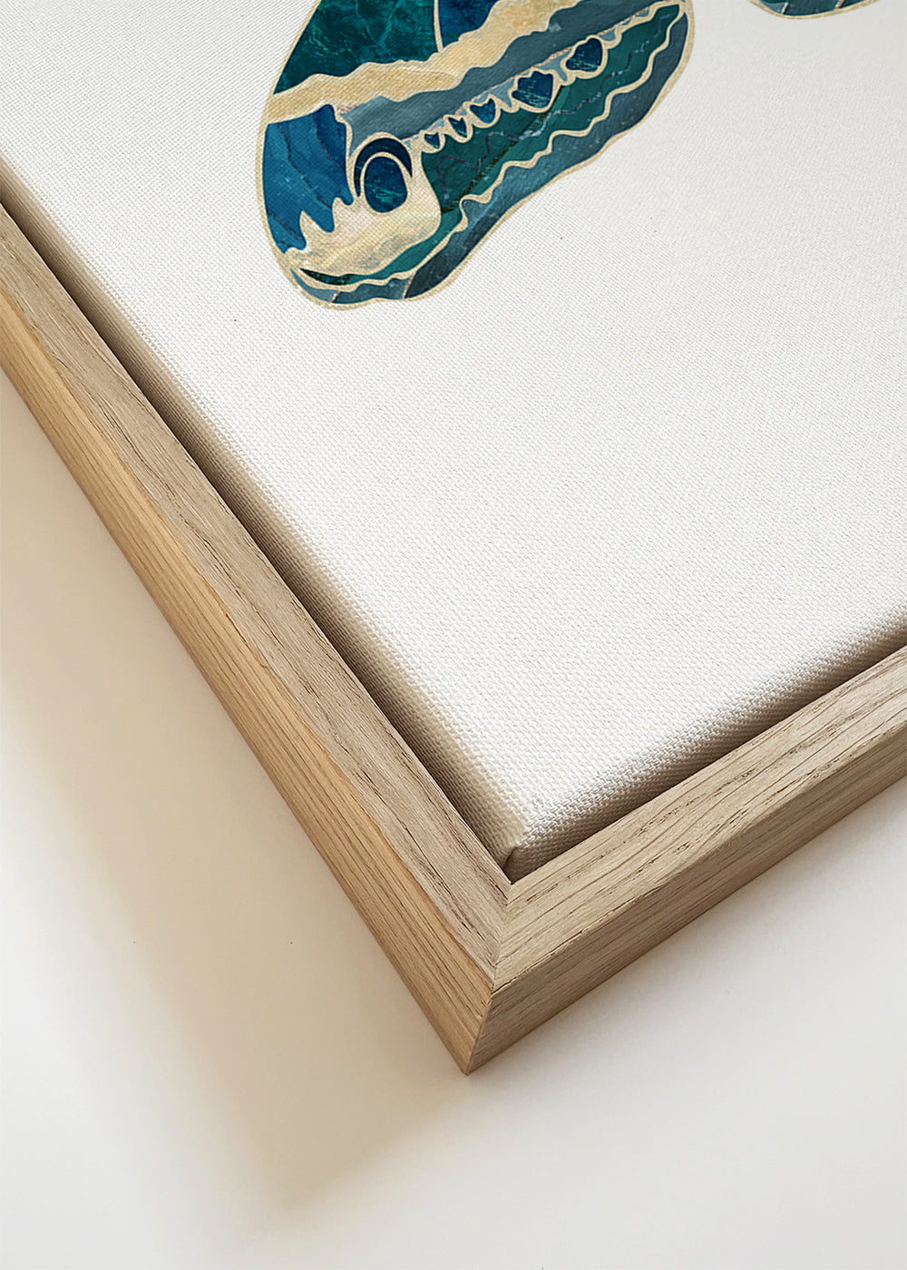 Turquouise gold moth