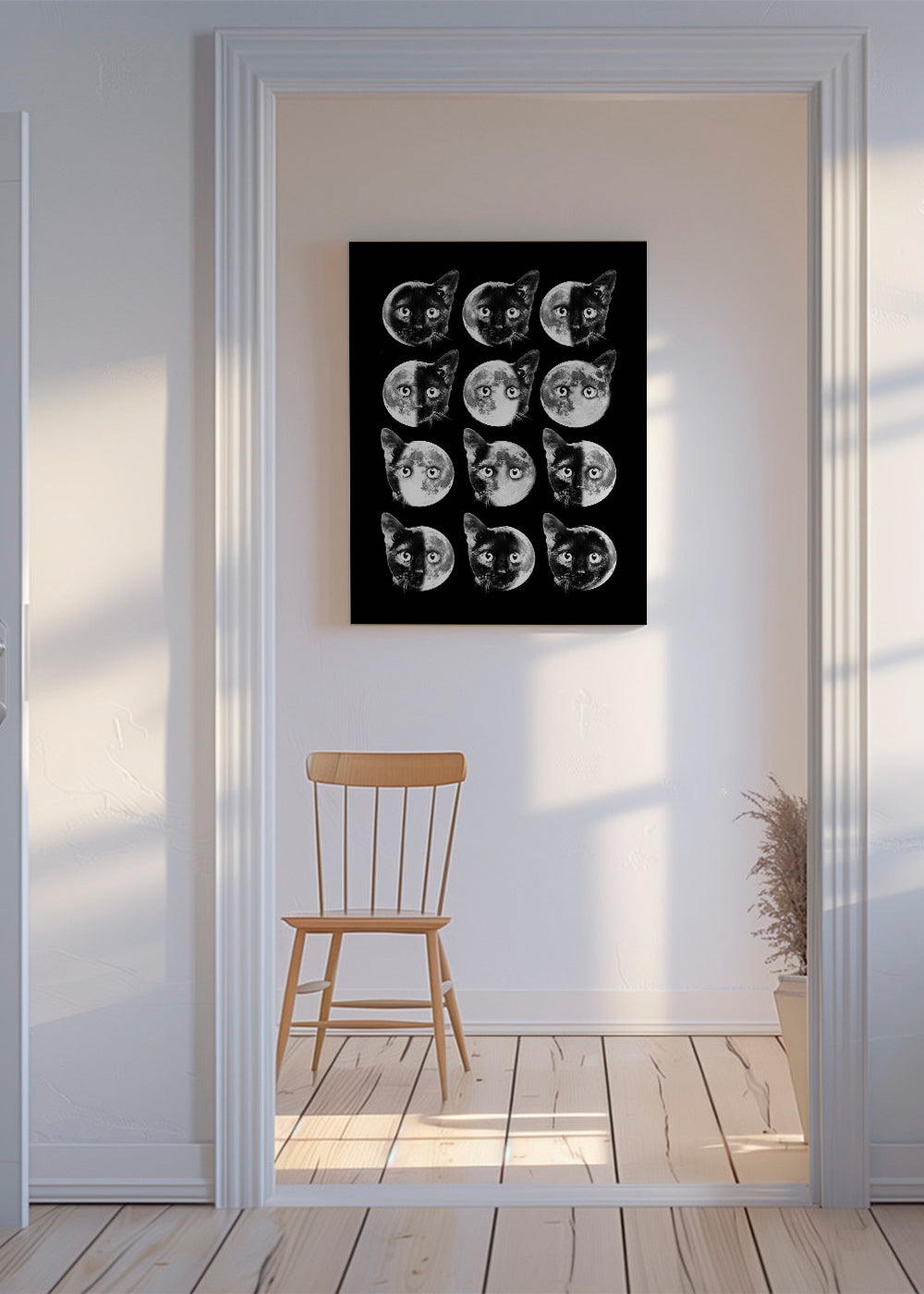 Cat moon phases