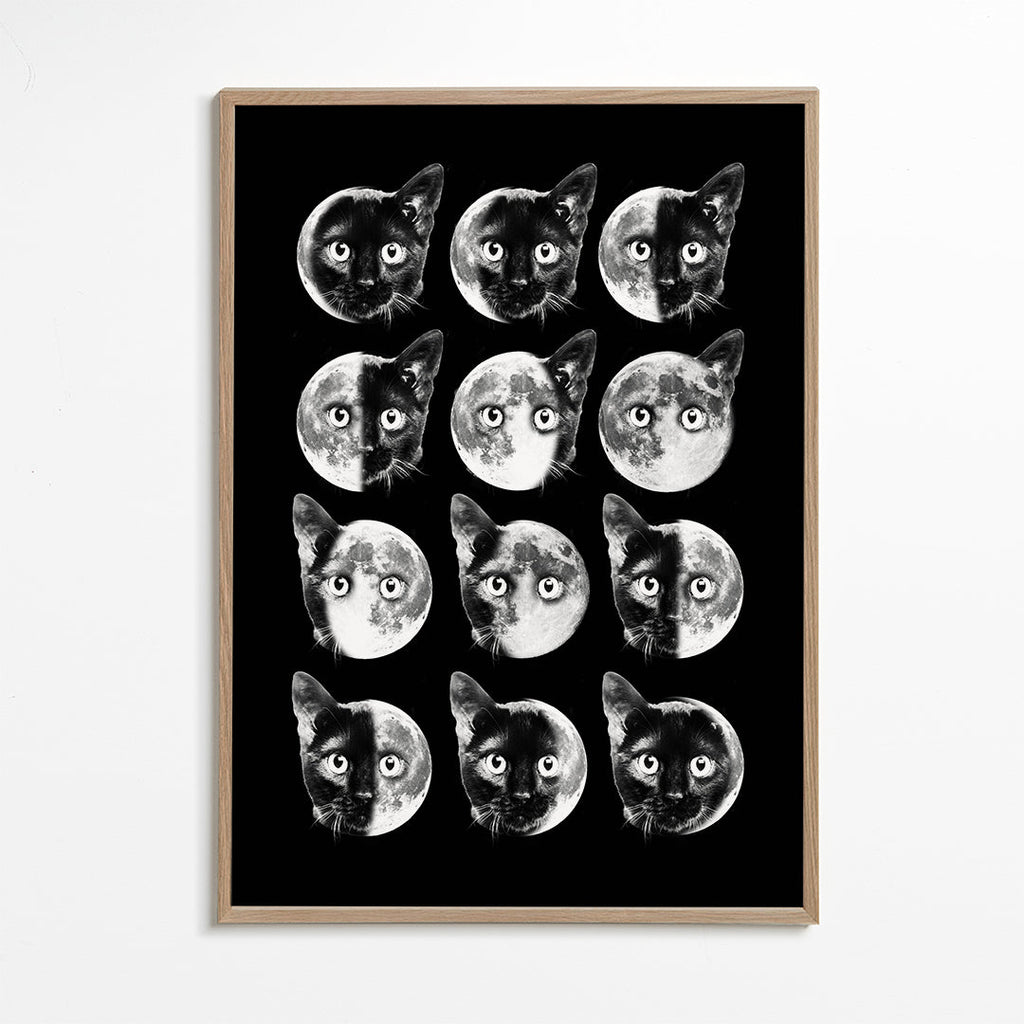 Cat moon phases