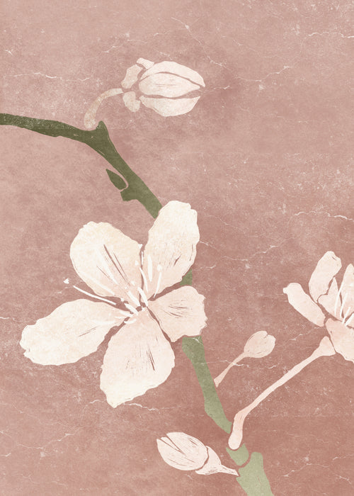 Pink Blossom II - Unframed art print