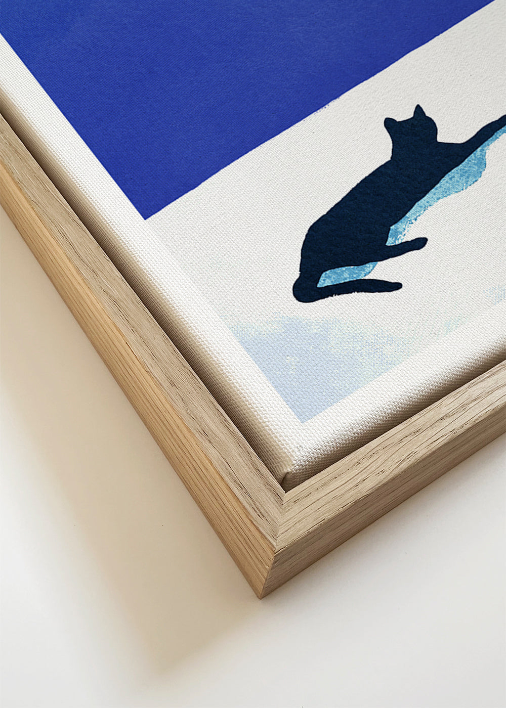 Black cat - siesta on the roof