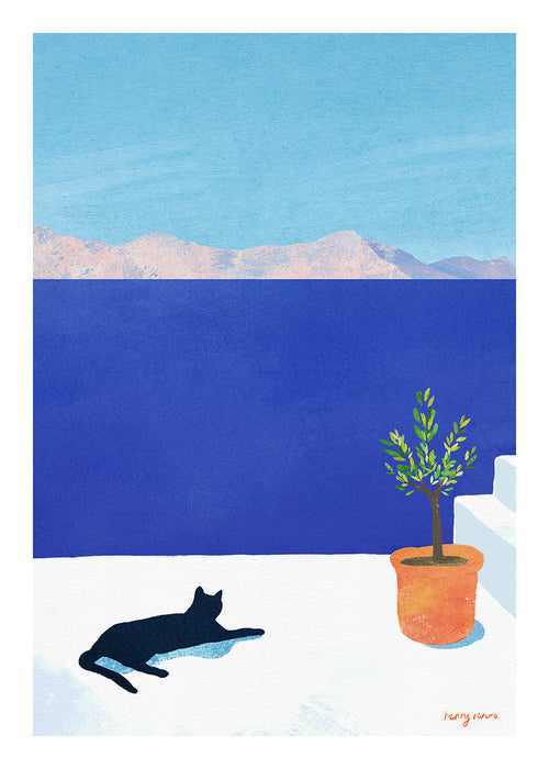 Black cat - siesta on the roof