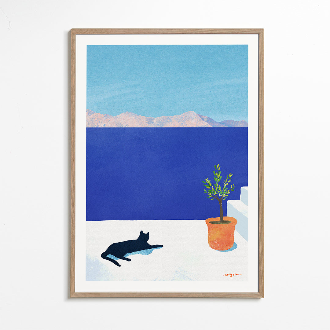 Black cat - siesta on the roof