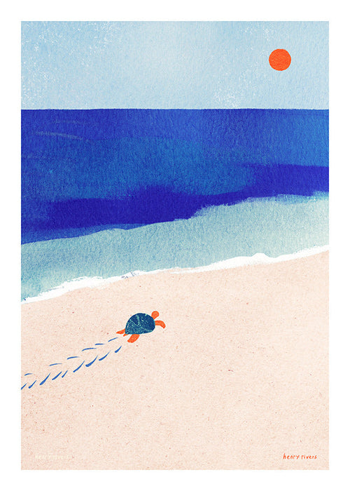 Ilustración tortuga en la playa