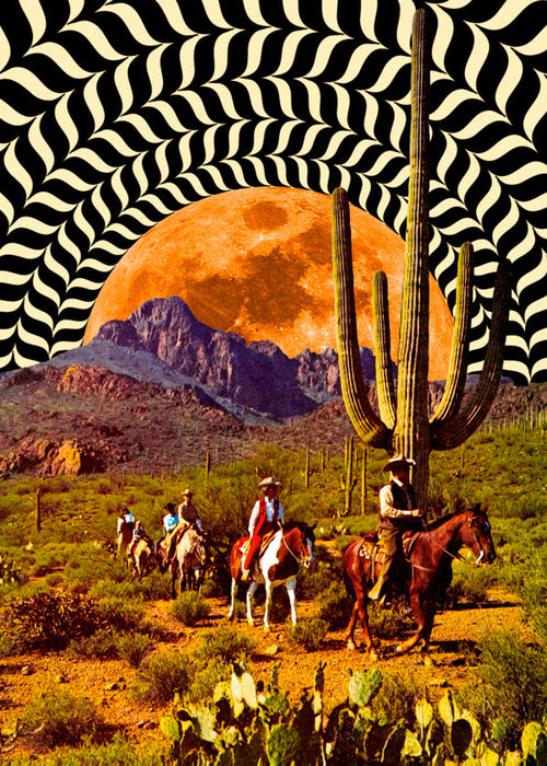 Illusionary Cowboys
