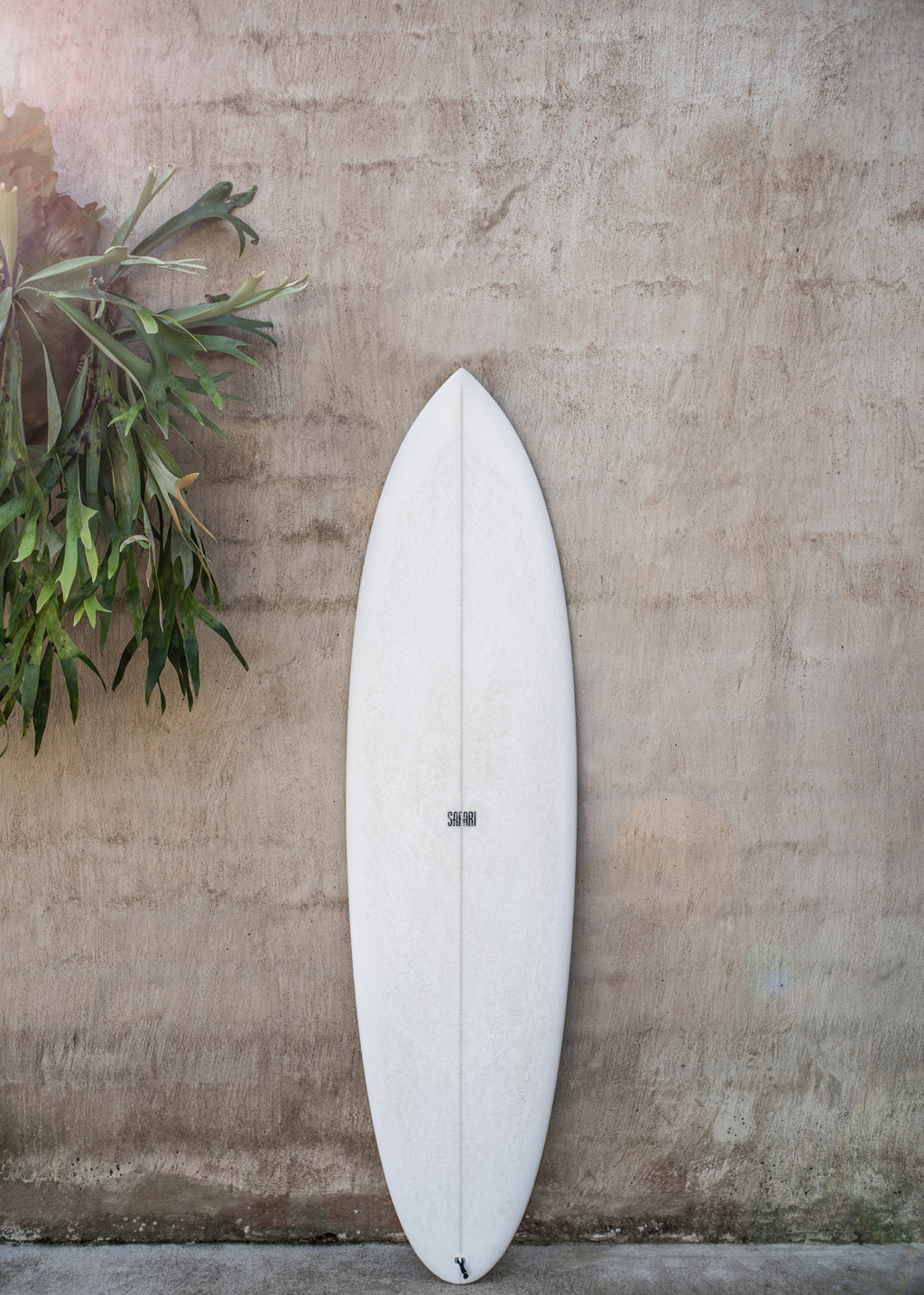Safari Twinfin - Unframed art print