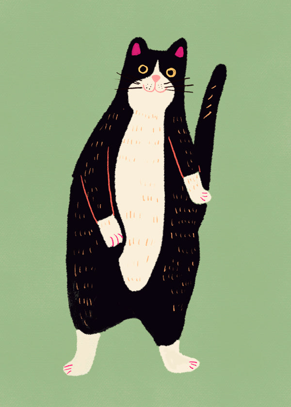 Black and white cat 02