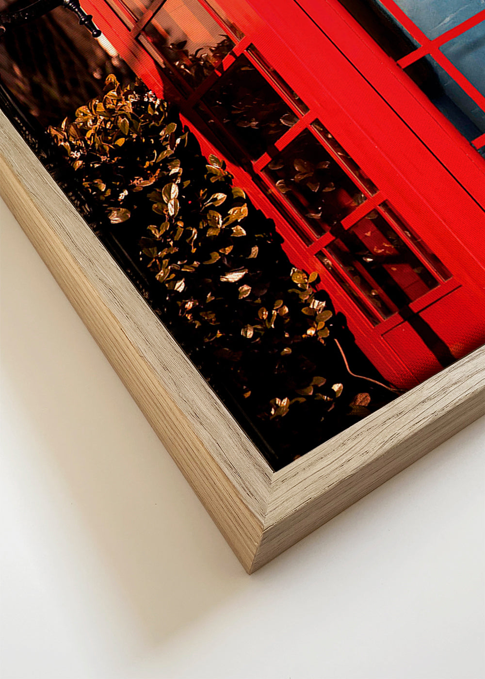 Shut Up and Kiss Me - Dikhotomy