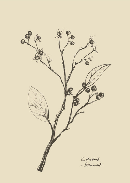 Floral 2