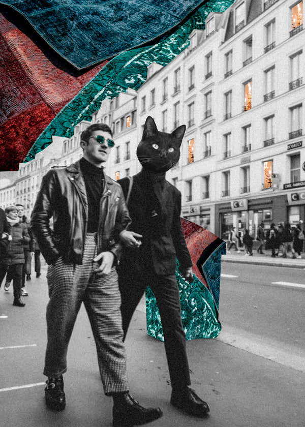 Cat - Ekaterina Lukovnikova