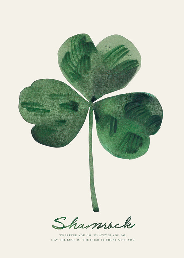 Lámina botánica Shamrock trébol en acuarela