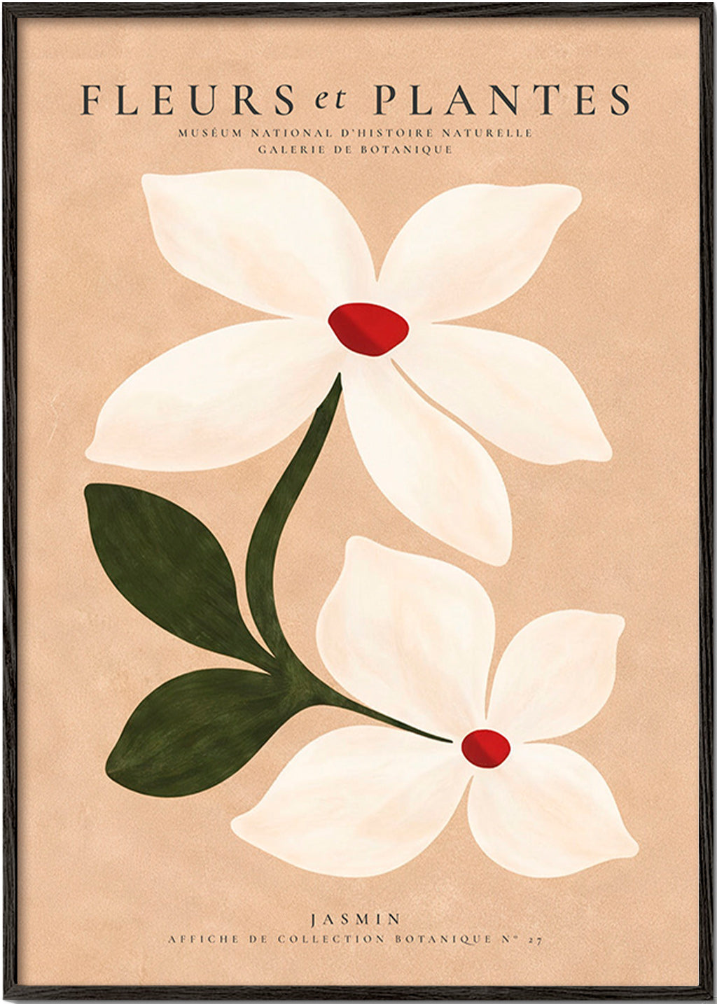 Lámina botánica con jazmín sobre fondo beige – Black Frame