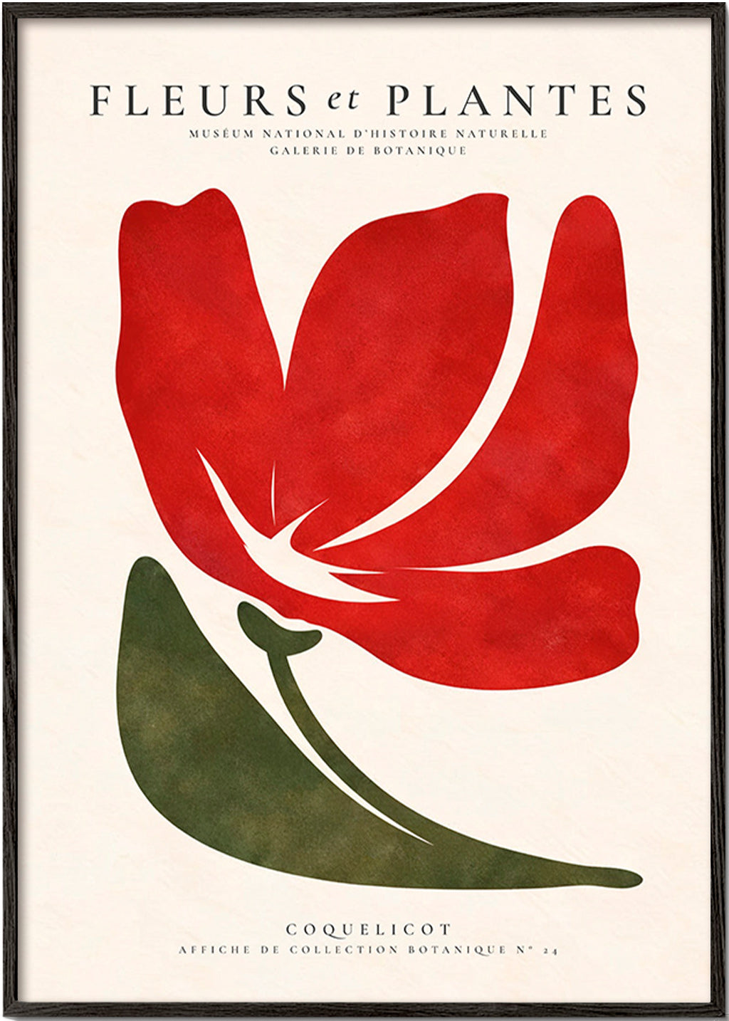 Lámina botánica con coquelicot rojo estilizado – Black Frame