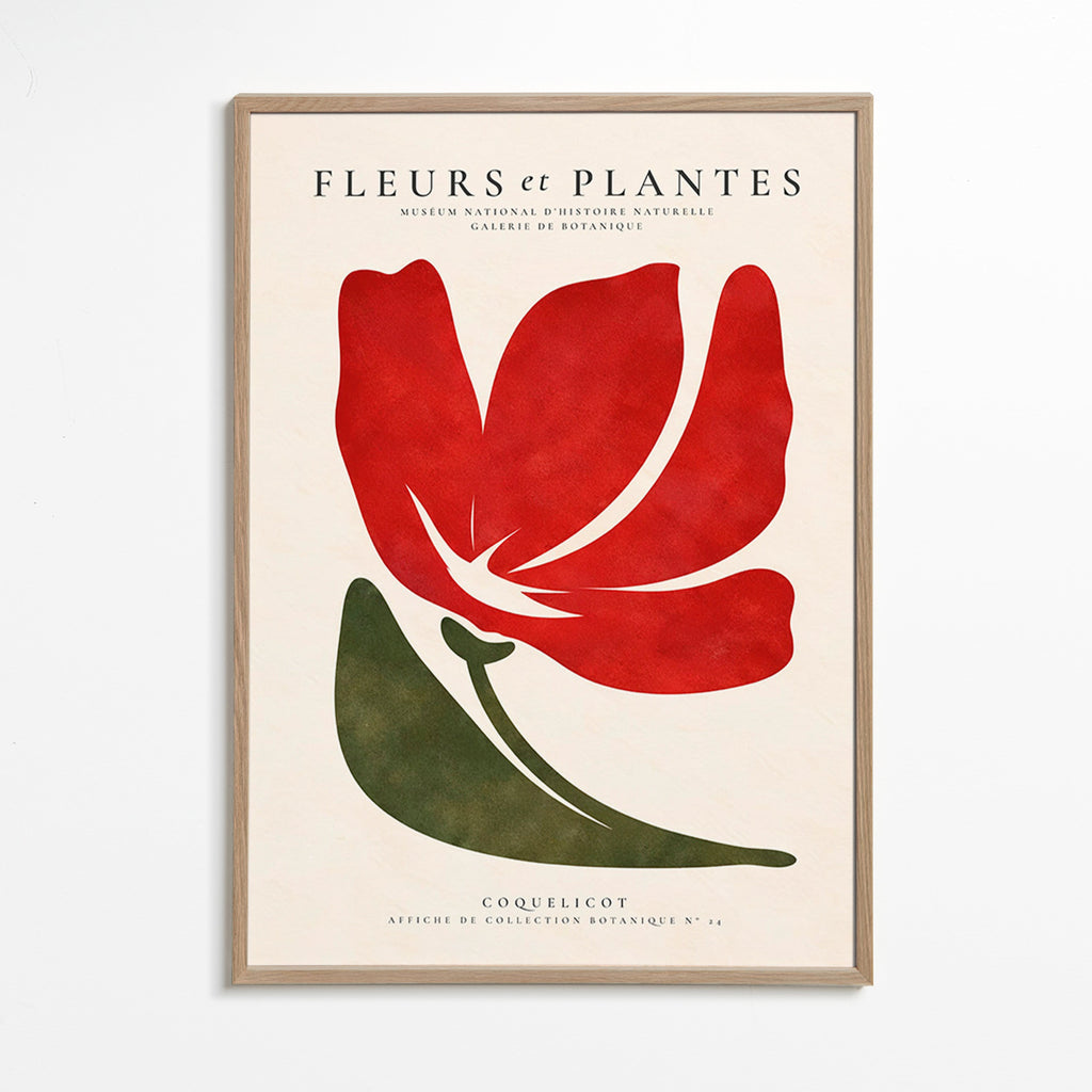 Lámina botánica con coquelicot rojo estilizado – Oak Frame