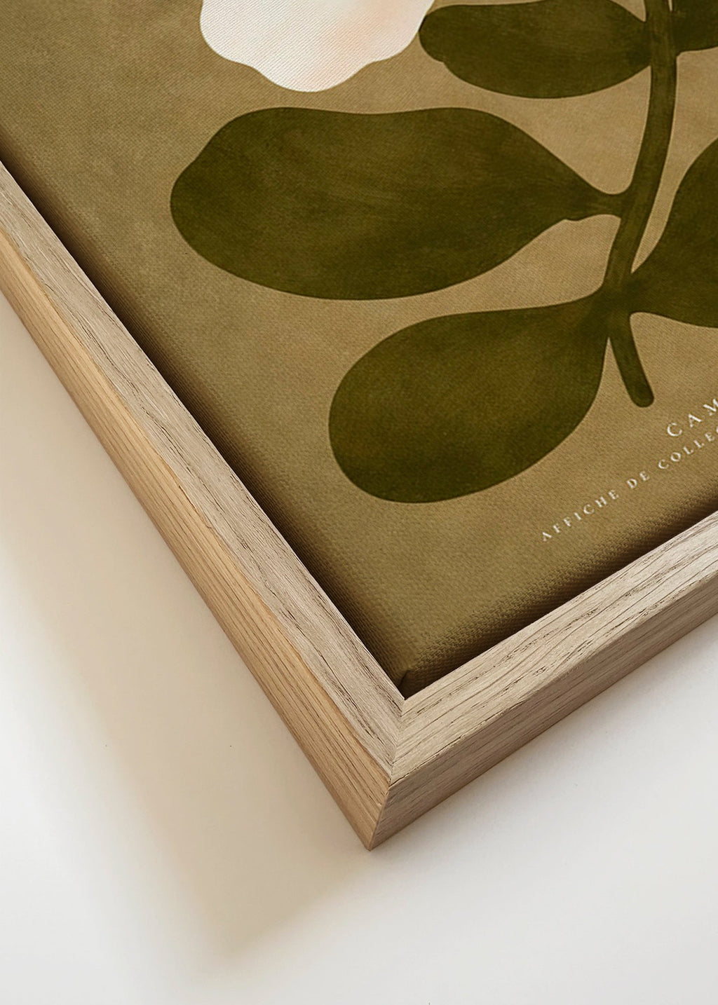 Lámina botánica: camelia blanca sobre fondo oliva – Canvas detail
