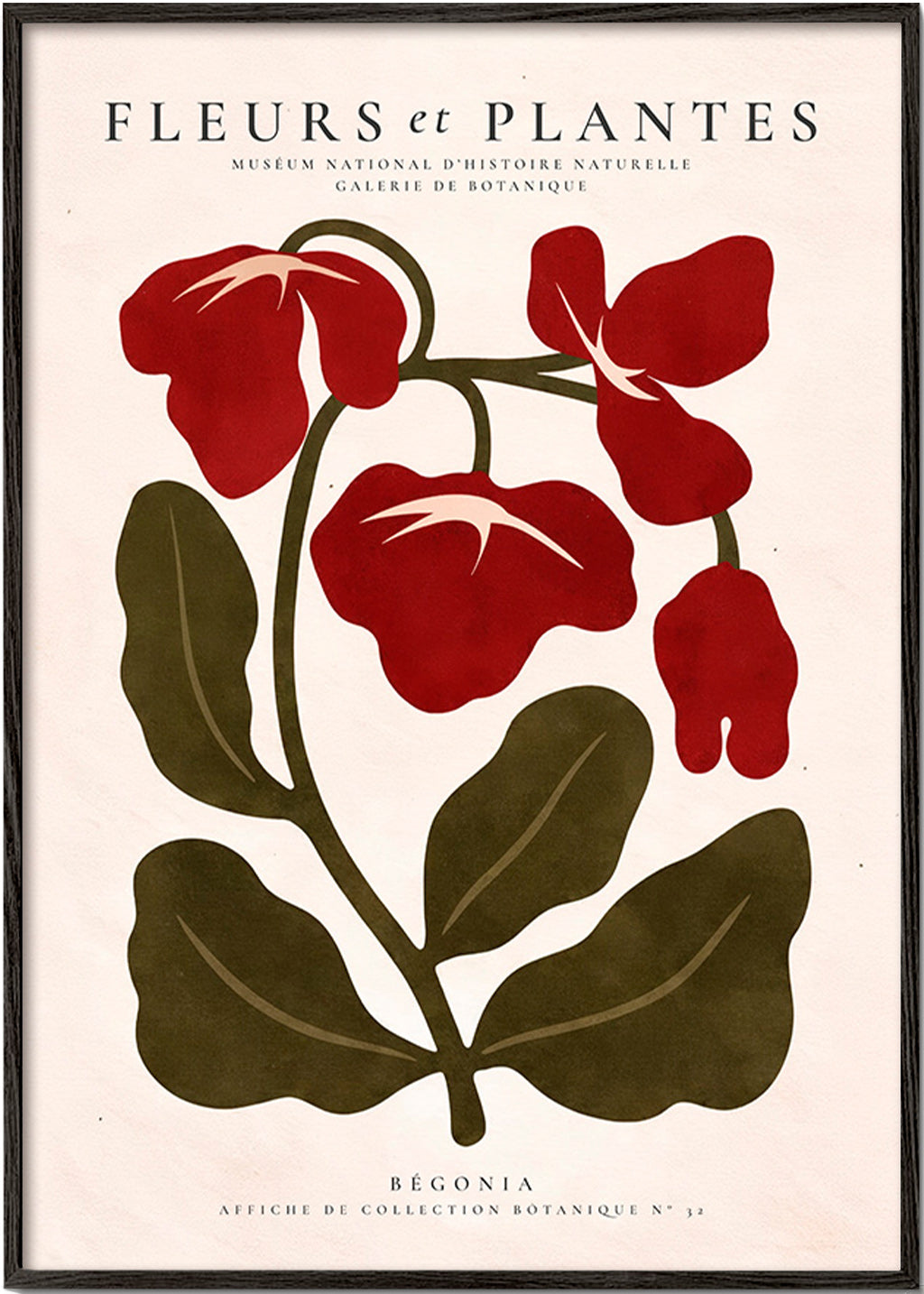 Lámina botánica: Begonia roja estilizada – Black Frame