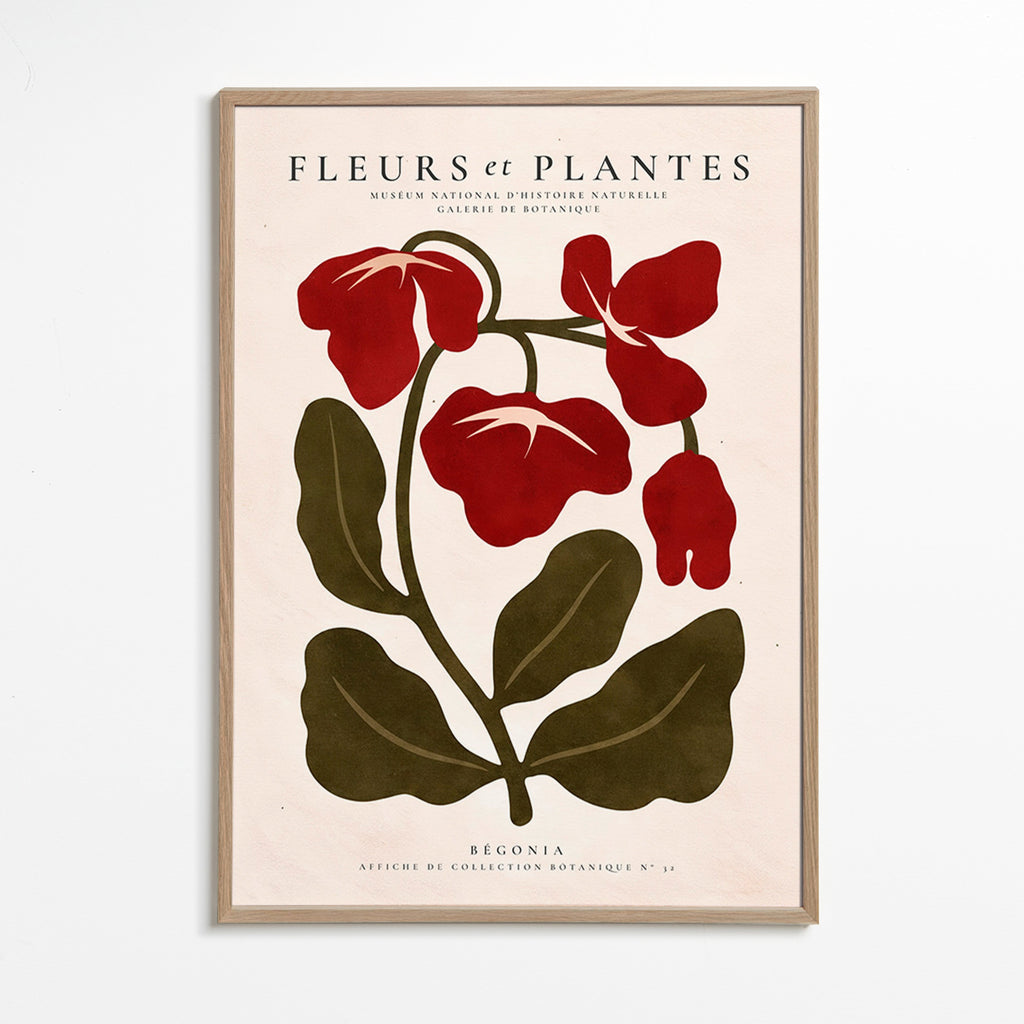 Lámina botánica: Begonia roja estilizada – Oak Frame