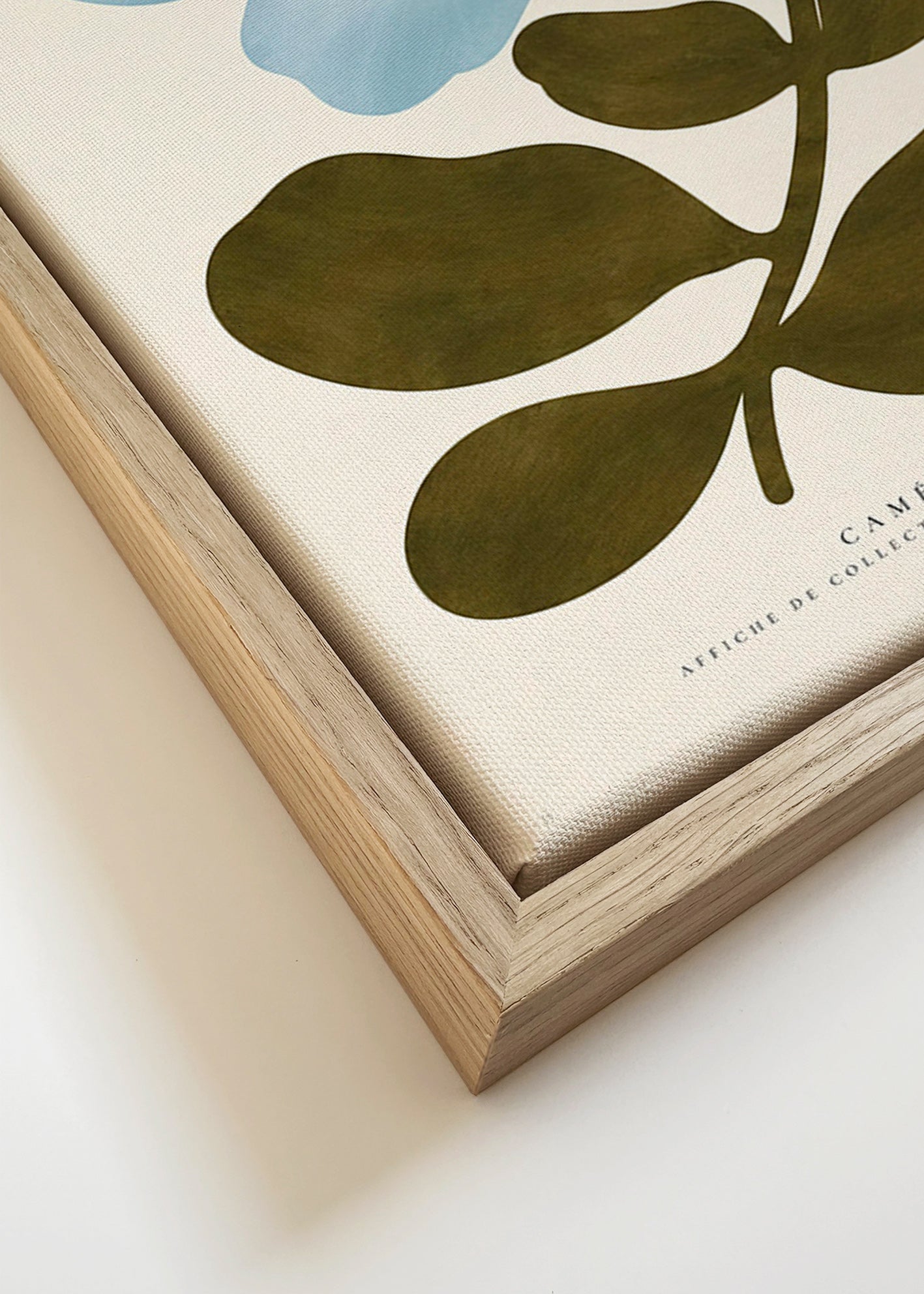 Lámina botánica Camelia azul – Canvas detail