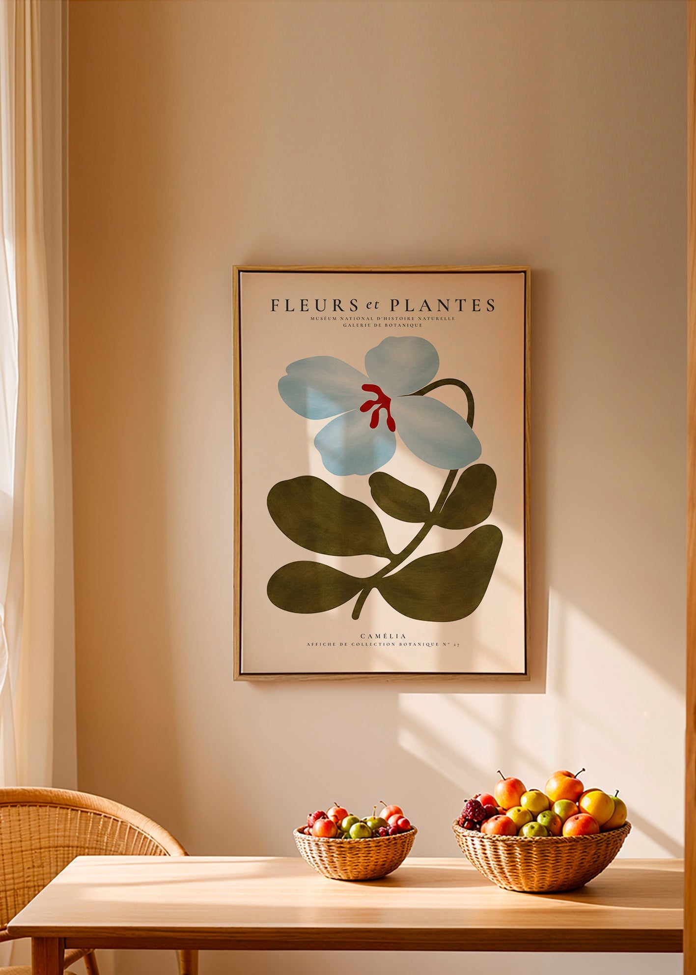 Lámina botánica Camelia azul – Canvas1