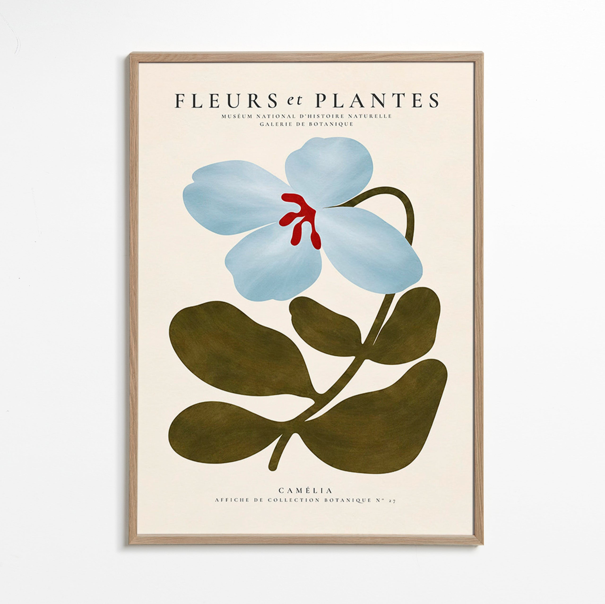 Lámina botánica Camelia azul – Oak Frame