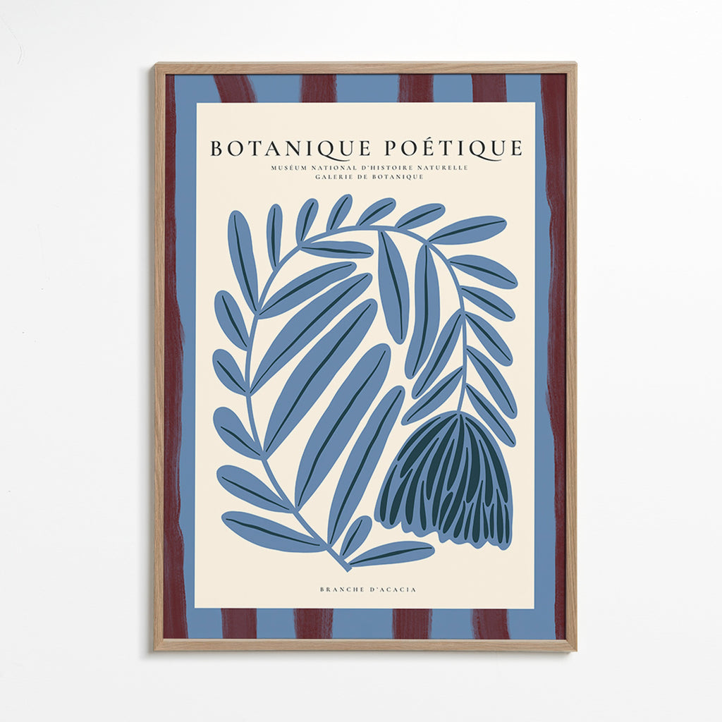 Lámina botánica azul de acacia estilizada – Oak Frame