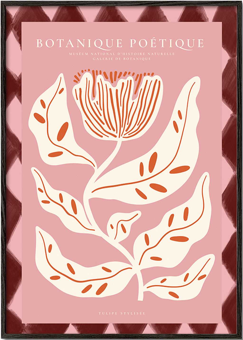 Lámina botánica con flor estilizada rosa – Black Frame