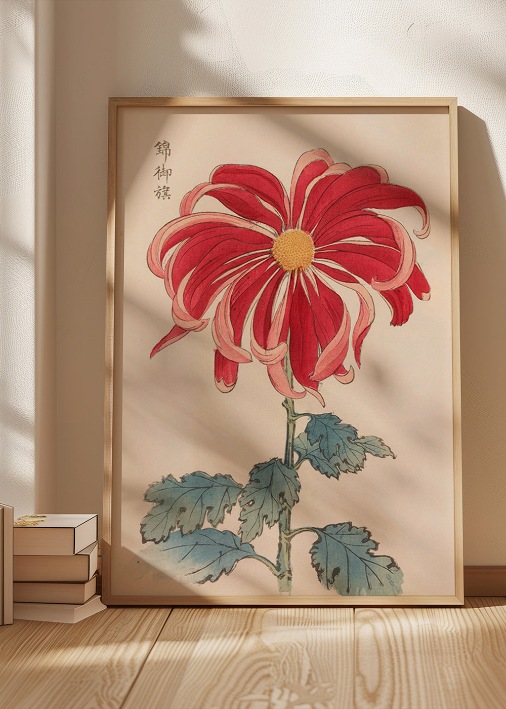 Lámina botánica crisantemo japonés rojo – Product1