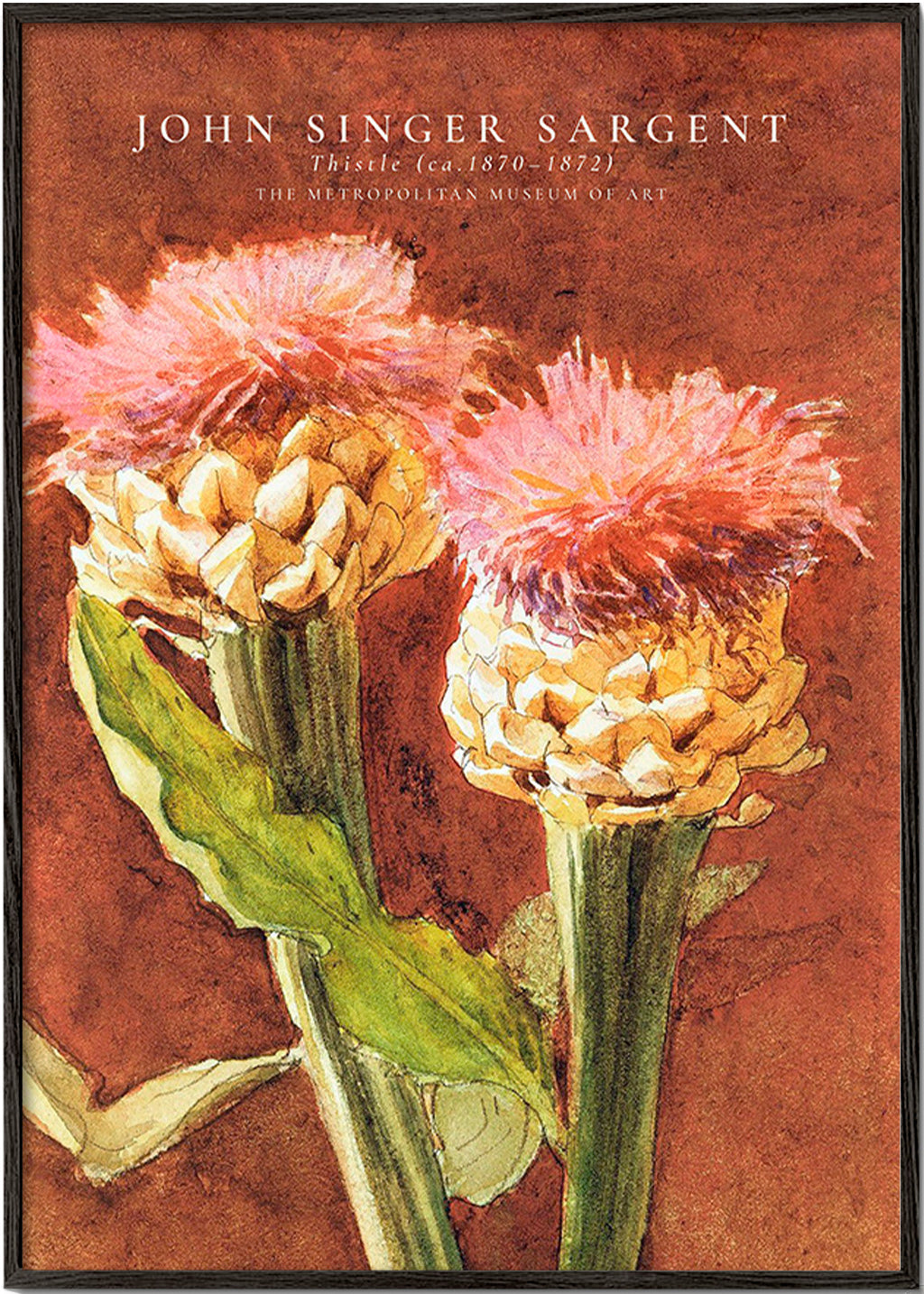 Lámina botánica con cardos rosas – Black Frame