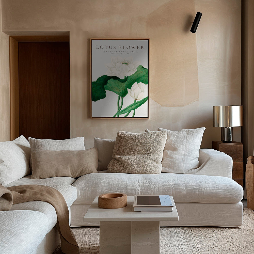 Lámina botánica Lotus blanco, detalle natural – Canvas1
