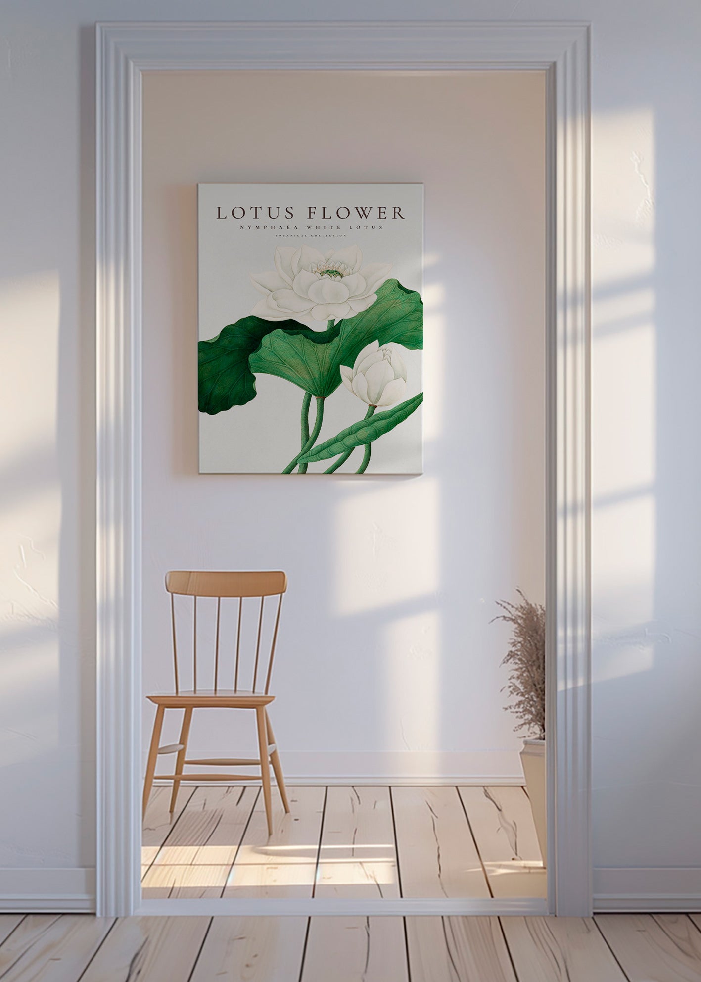 Lámina botánica Lotus blanco, detalle natural – Canvas