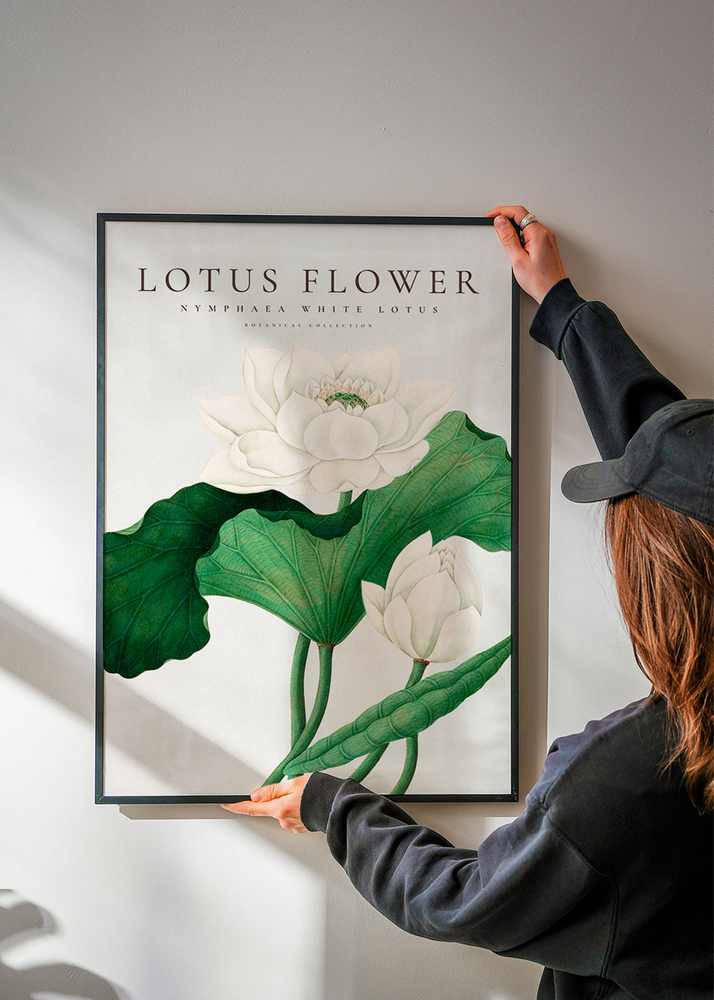Lámina botánica Lotus blanco, detalle natural – Product3