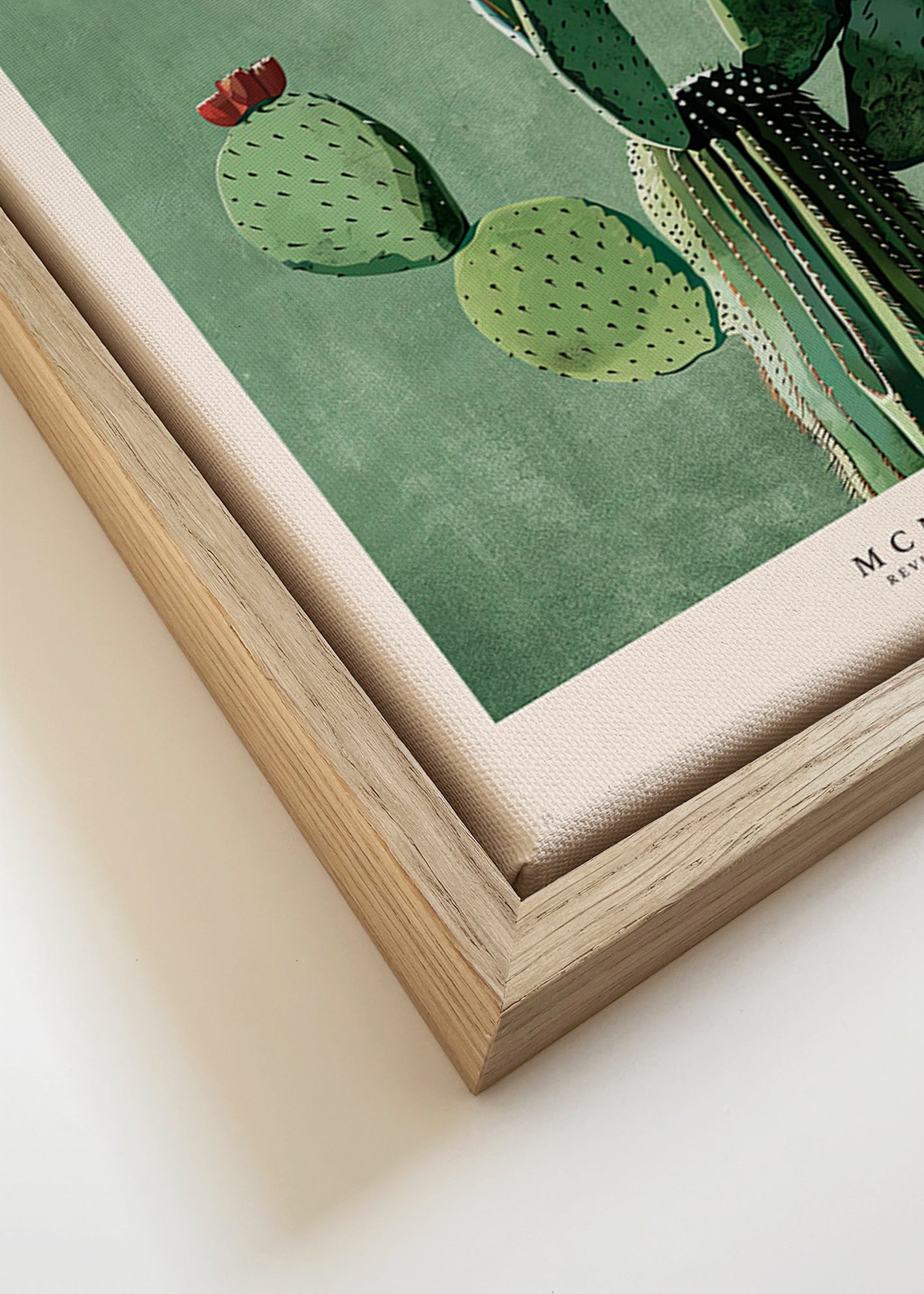 Lámina botánica México con cactus ilustrado – Canvas detail