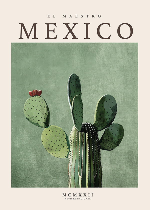 Lámina botánica México con cactus ilustrado
