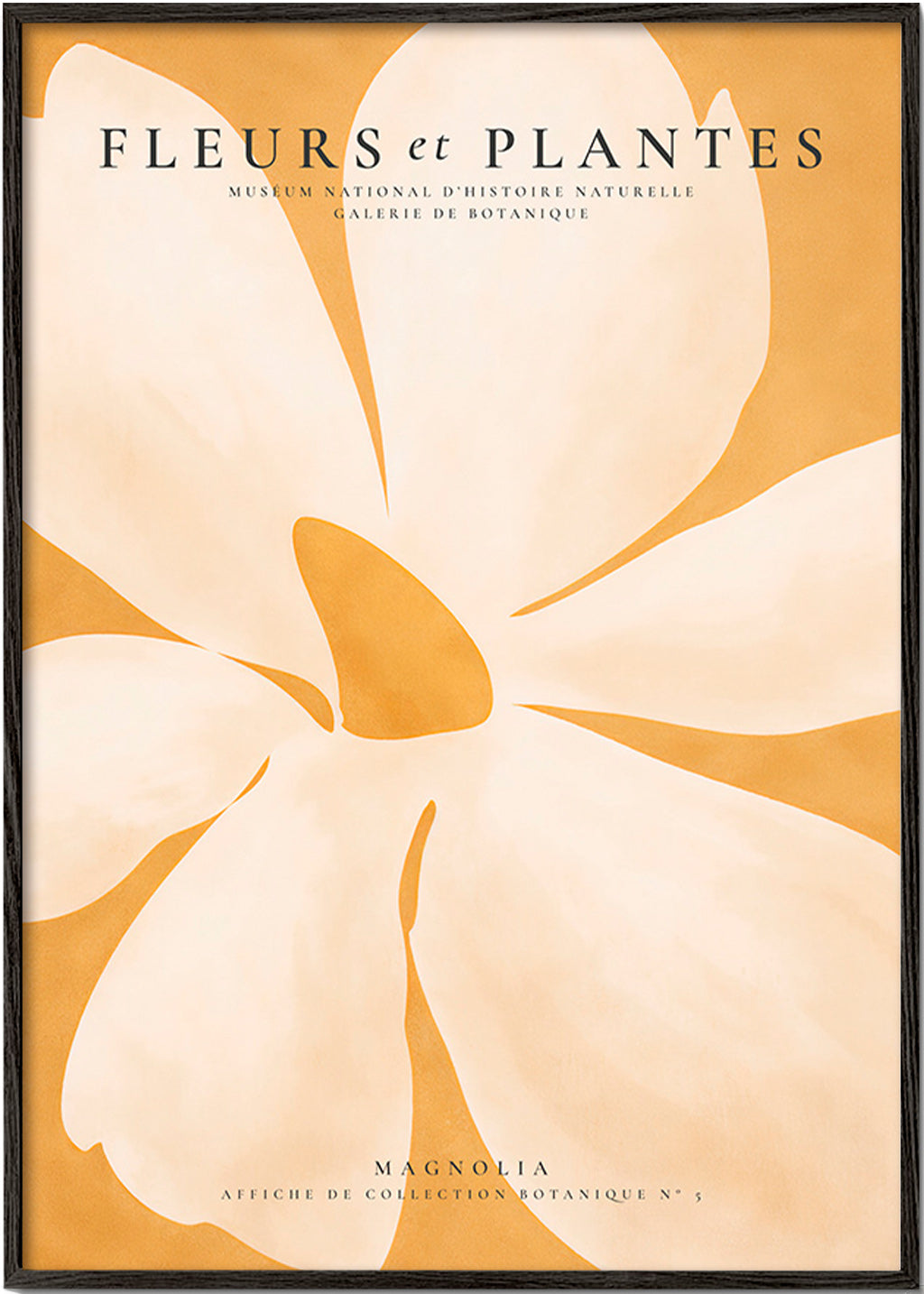 Lámina botánica Magnolia en gran formato – Black Frame