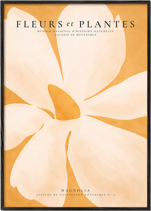 Lámina botánica Magnolia en gran formato – Black Frame