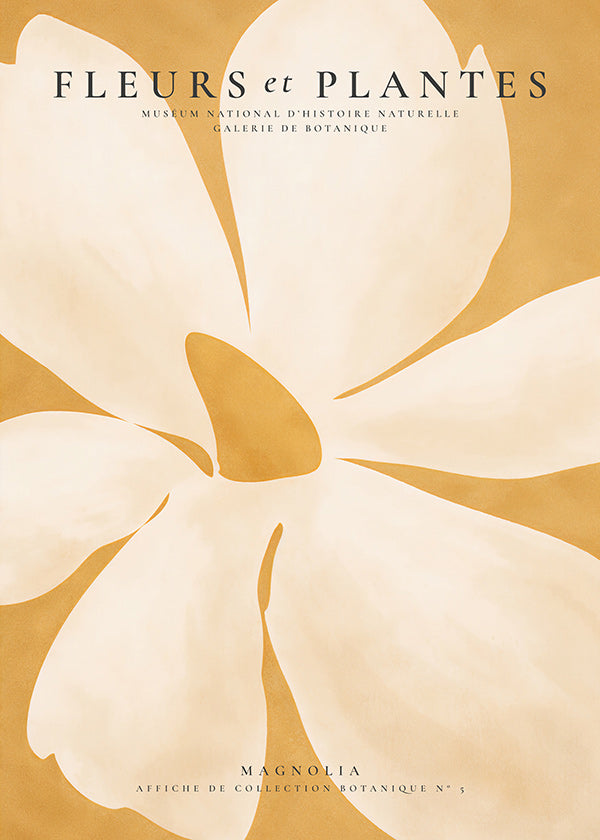 Lámina botánica Magnolia en gran formato