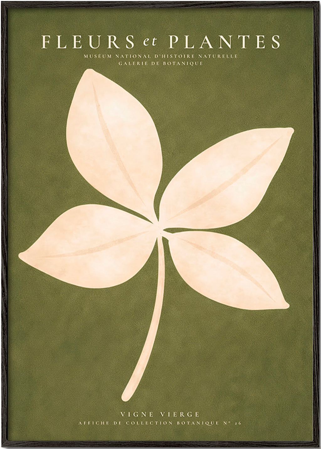Lámina botánica: hoja crema sobre fondo verde – Black Frame