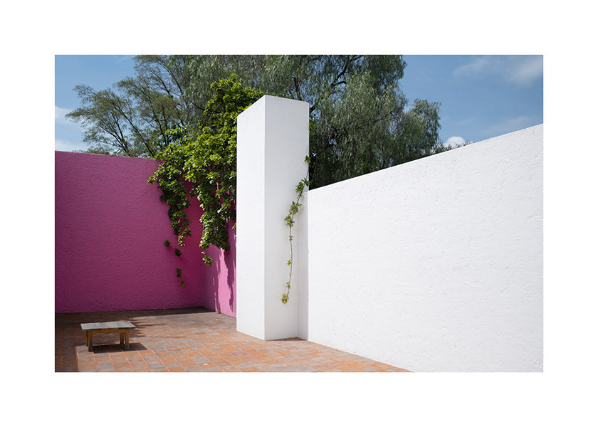Cuadro minimalista patio rosa y blanco