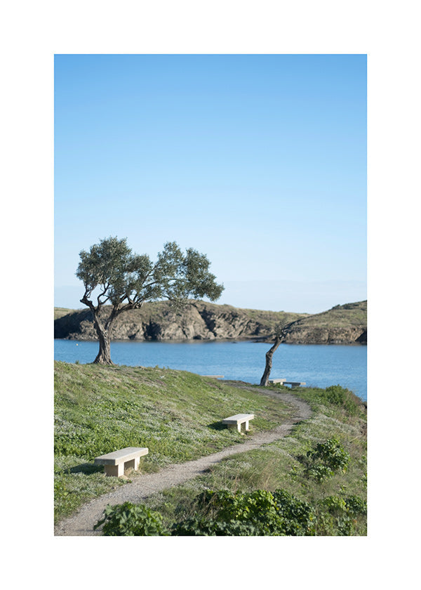 Cuadro de paisaje camino costero sereno