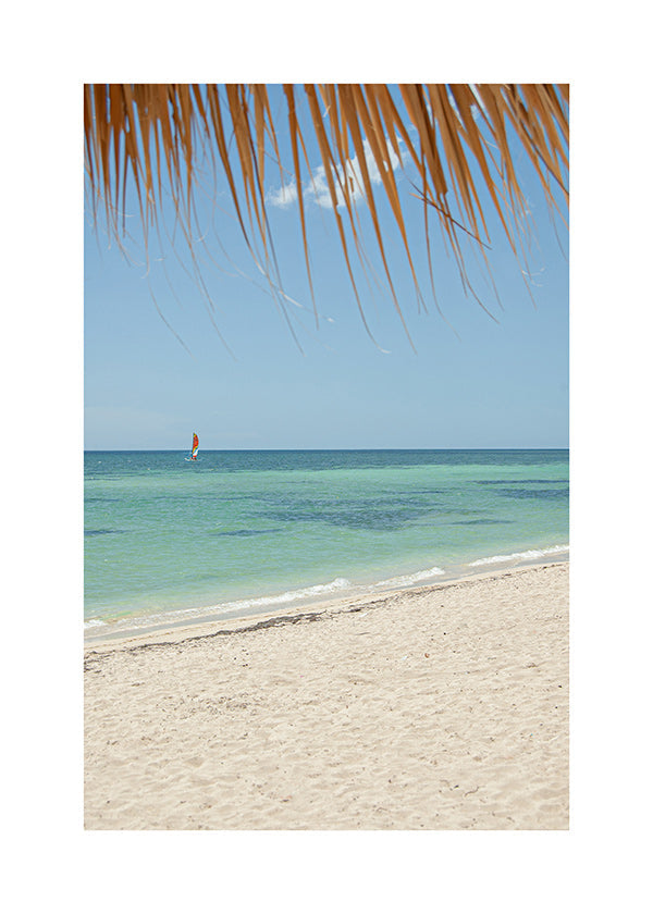 Cuadro de paisaje: playa caribeña con palmera