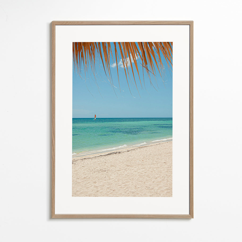 Cuadro de paisaje: playa caribeña con palmera – Oak Frame
