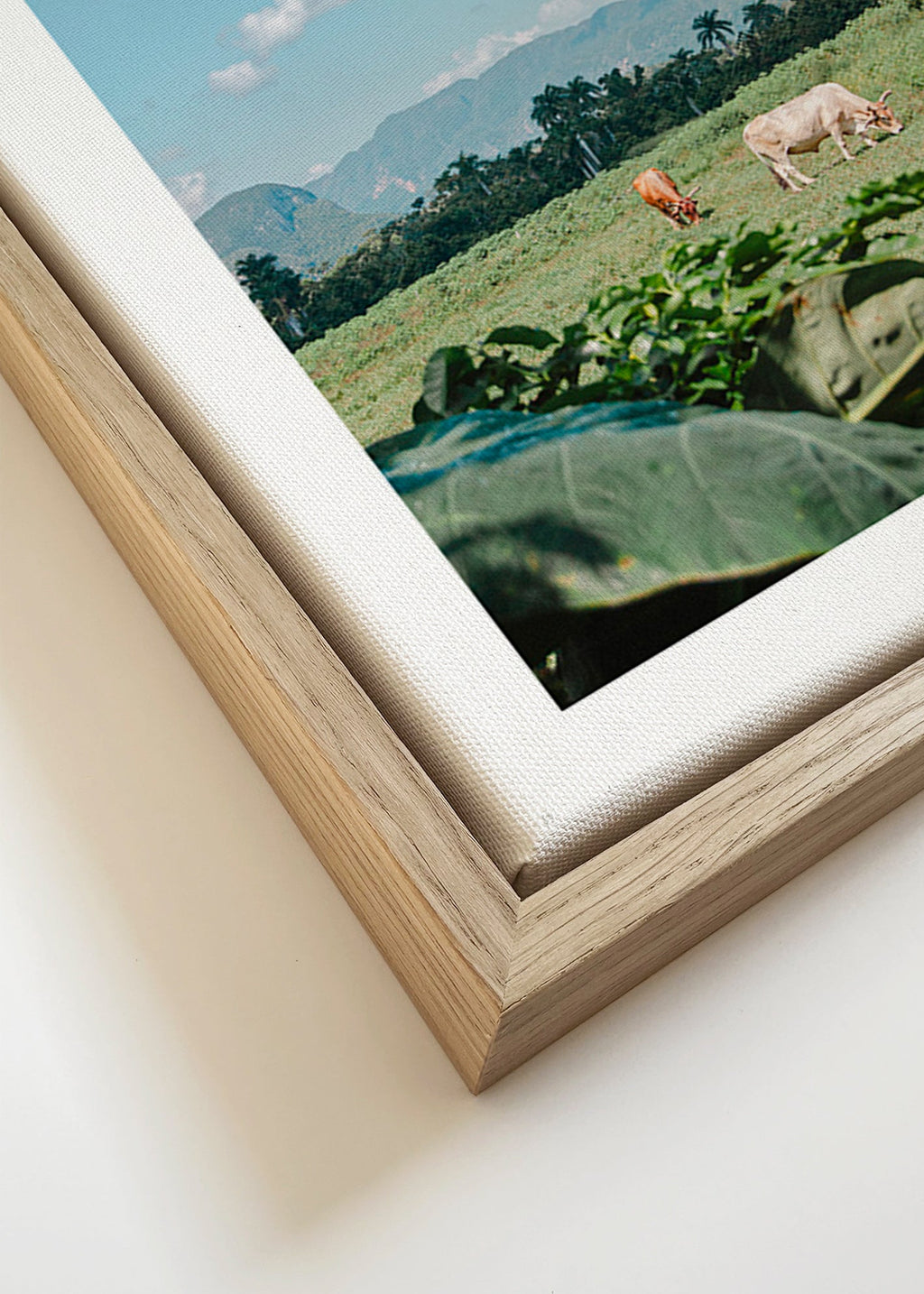 Cuadro de paisaje: campo con vacas y horizonte azul – Canvas detail