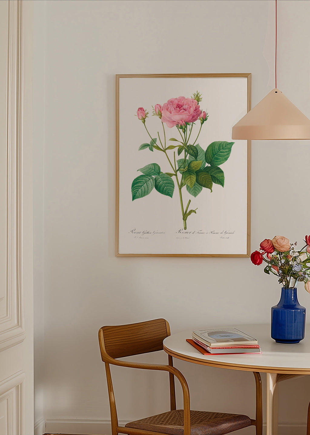 Lámina botánica Rosa Gallica – Product2